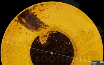 SONDA SONAR MINN KOTA 360 IMAGING UNIVERSAL - Img 2
