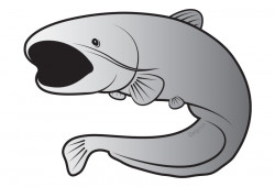 STICKER SOMN SILVER