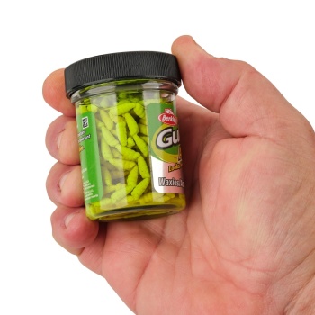 VIERMI ARTIFICIALI BERKLEY GULP ALIVE WAXIES MLD 12MM WHITE 45 - Img 4