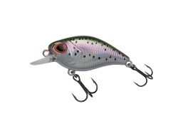 VOBLER BERKLEY DEX THUMPER FLOATING 4CM / 3.7G RAINBOW TROUT