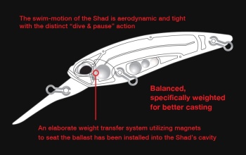 VOBLER DUO REALIS SHAD 62DR SP 6.2CM 6GR AJA3055 CHART GILL HALO - Img 3