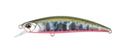 VOBLER DUO SPEARHEAD RYUKI 70F 7CM 5.3GR ADA4068 YAMAME RED BELLY