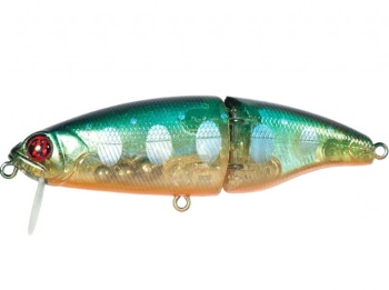 10CM 17.1G 810
