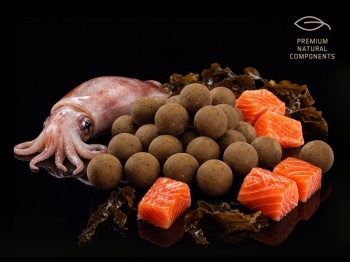 BOILIES DELPHIN BREAX / SEAKER CALAMAR-SOMON / 24MM / 300G - Img 4