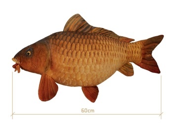 DELPHIN CARPY – CRAP DIN PLUS 60 CM - Img 2