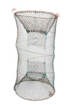 FIR DAM DAMYL NEW SPEZI LINE PIKE SPIN 0.30MM 400M