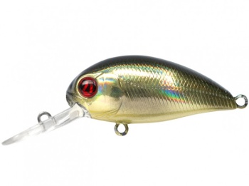 HYPNOSE 3.8CM 4G R22