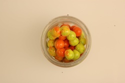 ICRE PASTRAV BERKLEY POWERBAIT POWEREGGS RAINBOW
