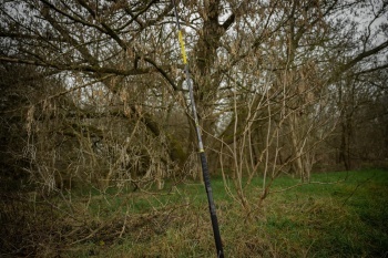 LANSETA BLACK CAT PERFECT PASSION X LONG RANGE 3.30M 600G 2TR - Img 7