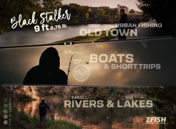 LANSETA BLACK STALKER 9FT 2.70M 2,75LB 2TR - Img 6