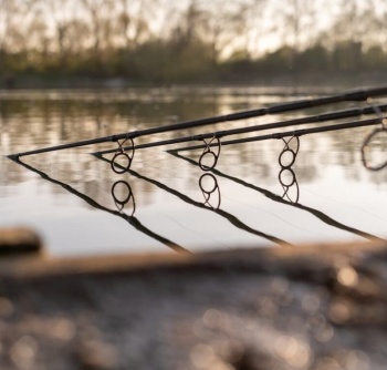 LANSETA DAIWA D-CARP 3.90M / 3.5LBS 2BUC - Img 2
