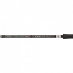 LANSETA PENN LEGION CAT SILVER POWER AR 2.40M 200-400G 2TR