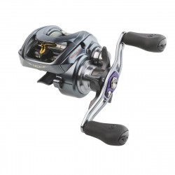MULINETA CASTING DAIWA STEEZ A TW 1016XHL