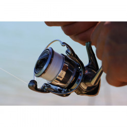 MULINETA DAIWA EXIST LT2000D-P