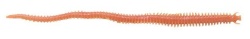 RAMA DE MARE BERKLEY GULP SANDWORM 5CM NATURL 24BUC