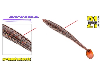 SHAD PONTOON21 ATTIRA 437 10CM - Img 3