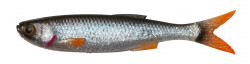SHAD SAVAGE GEAR CRAFT DYING MINNOW 10CM / 5.5G ROACH