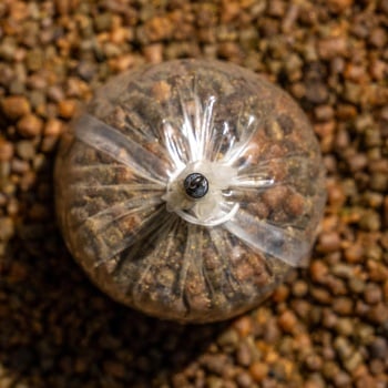 TIJA PLUMB BAG CU AGRAFA RAPIDA AVID CARP OUTLINE FLECKTONE SHORT 6CM BAG STEM 5BUC - Img 5