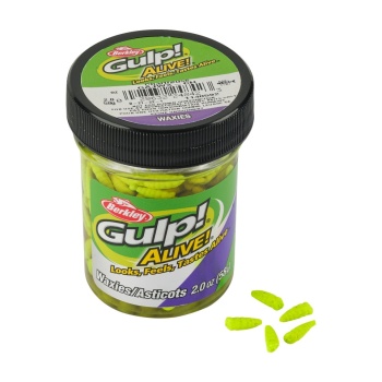 VIERMI ARTIFICIALI BERKLEY GULP ALIVE WAXIES MLD 12MM WHITE 45 - Img 2