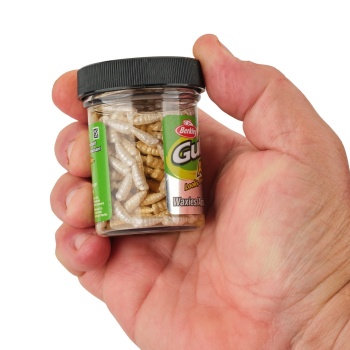 VIERMI ARTIFICIALI BERKLEY GULP ALIVE WAXIES MLD 12MM WHITE 45 - Img 7
