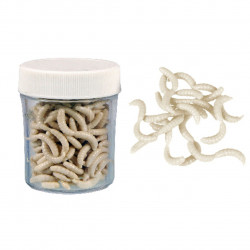 VIERMI ARTIFICIALI KONGER CU MIROS MAGGOT SOFT BAIT SCENTED ALB