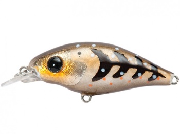 VOBLER PONTOON21 GEM 555 4CM 2.5G FLOATING SR