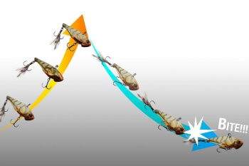 CICADA JACKALL SPEED VIBE 4,2CM/3,5G PRISM MAGIC - Img 2