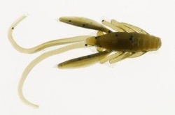 CREATURA NIMFA BERKLEY POWERBAIT POWER NYMPH PEARL OLIVE