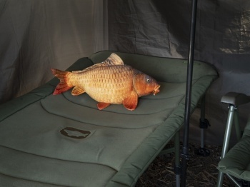 DELPHIN CARPY – CRAP DIN PLUS 60 CM - Img 3