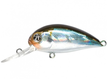 HYPNOSE 3.8CM 4G 005