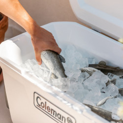 LADA FRIGORIFICA PASIVA CU ROTI COLEMAN MARINE XTREME 2023 94L