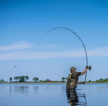LANSETA AVID CARP REVOLVE 3.00M 3.00LBS 2BUC - Img 8