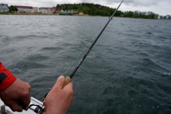 LANSETA DAIWA PRO STAFF EXTRA FAST 2.60 80-240G 2BUC