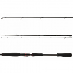 LANSETA DAIWA TOURNAMENT AGS 2.70M 14-42G 2BUC