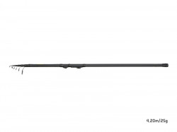 LANSETA DELPHIN ARIOS TELEMATCH 420CM 25G