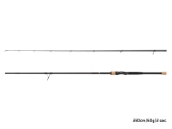 LANSETA DELPHIN HARDZ 270CM 60G 2BUC
