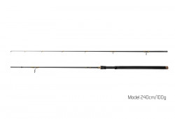 LANSETA DELPHIN MURENA 210CM 100G 2 TRONSOANE