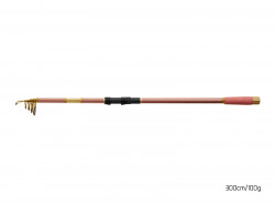 LANSETA DELPHIN QUEEN TELE 300CM 100G