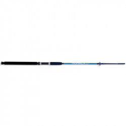 LANSETA LINEAEFFE MUSTANG EVOLUTION 2.40M 100-250G 2BUC