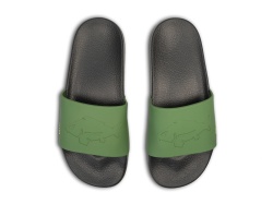 PAPUCI DELPHIN OUTLINE CARP MARIMEA 45