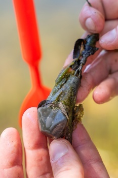 PLUMB AVID CARP EXTREMITY MARKER PLUMB 3.5OZ 100G - Img 4