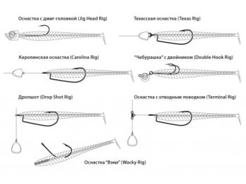SHAD PONTOON21 ATTIRA 437 10CM - Img 4
