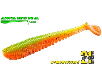SHAD PONTOON21 AWARUNA 408 3.5" 8.9CM - Img 3