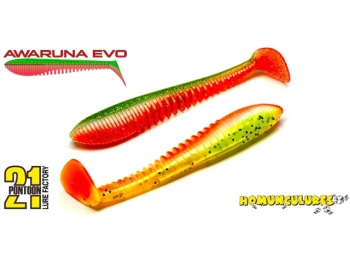 SHAD PONTOON21 AWARUNA EVO 4218 8.9CM - Img 4