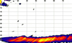 SONDA SONAR GARMIN PANOPTIX PS21-TM