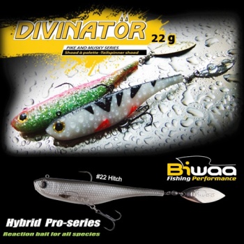 SPINNERTAIL BIWAA DIVINATOR JUNIOR 14CM 22GR 22 HITCH