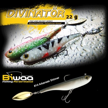 SPINNERTAIL BIWAA DIVINATOR MEDIUM 18CM 35GR 14 ARKANSAS SHINER