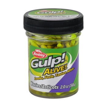 VIERMI ARTIFICIALI BERKLEY GULP ALIVE WAXIES MLD 12MM WHITE 45 - Img 5