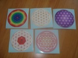 Autocolant FLOAREA VIETII 2 cm