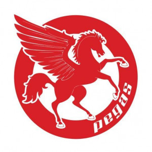 Pegas